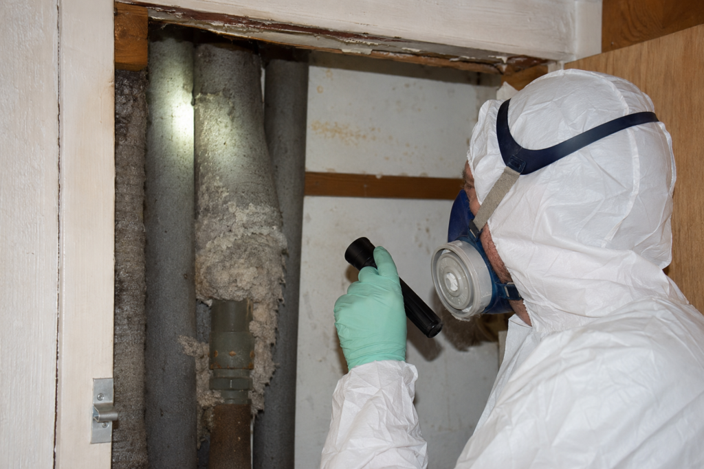 asbestos inspection in Morley property loft space